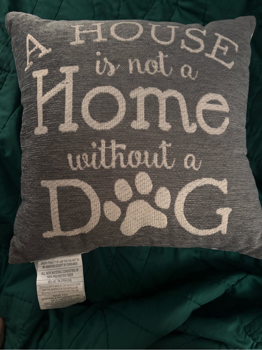 Gray 'A House is not a Home without a Dog' Decorative Pillow